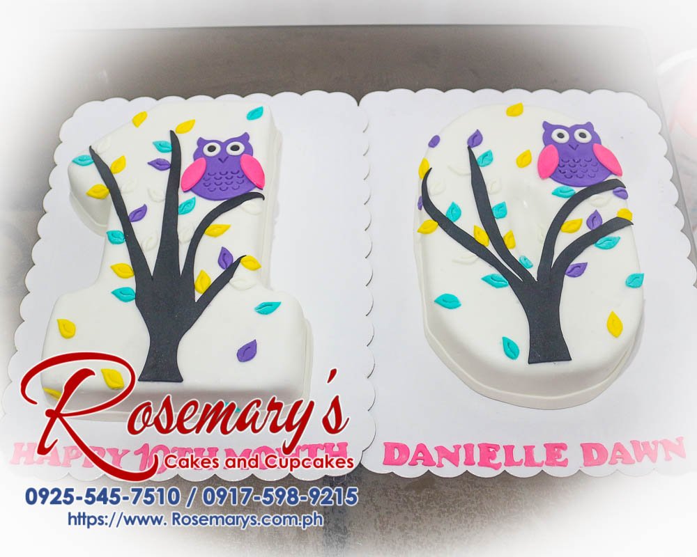 Delicious owl-themed number cake with intricate details. Order your custom cake from Rosemary's Cakes! Call 0925-545-7510.